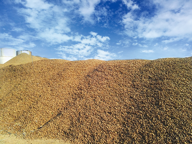 
果殼（桃殼）活性炭生產原料